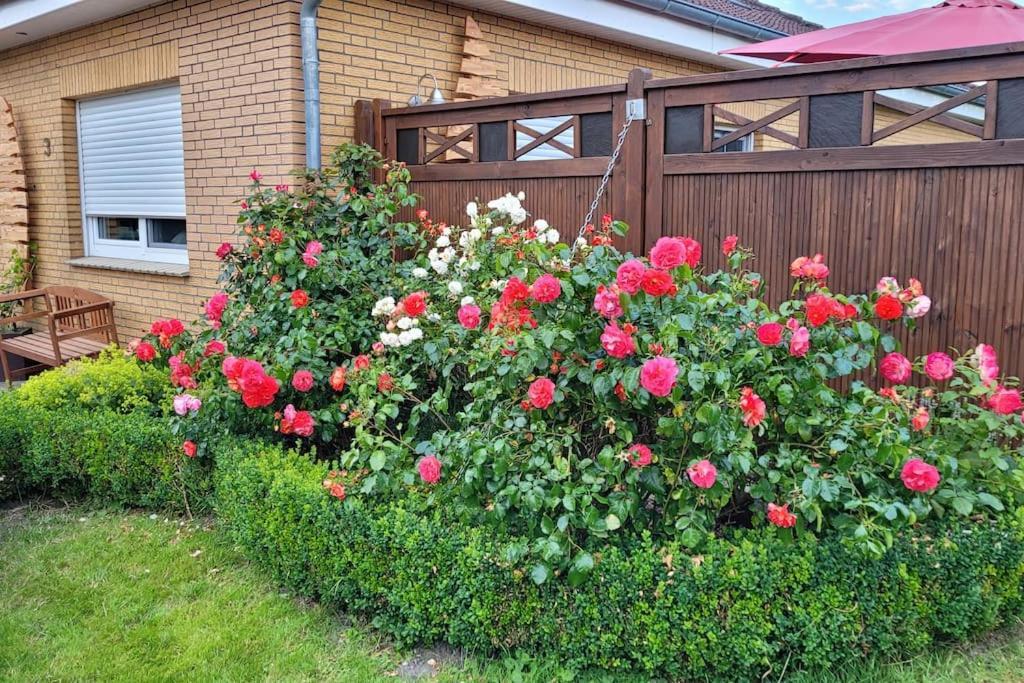 Fh Ostfriesland To Huus, Zw. Emden Und Greetsiel Βίλα Hinte Εξωτερικό φωτογραφία